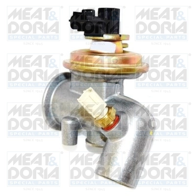 EGR Valve